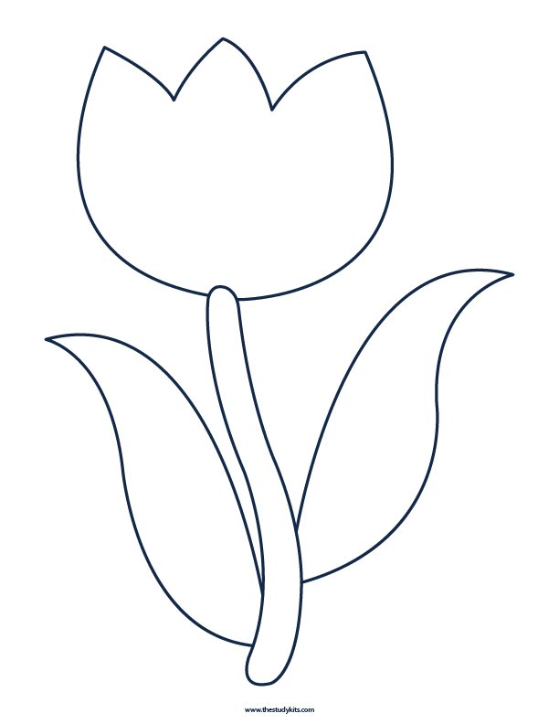 Free Printable Tulip Coloring Pages (PDFs) - The Study Kits