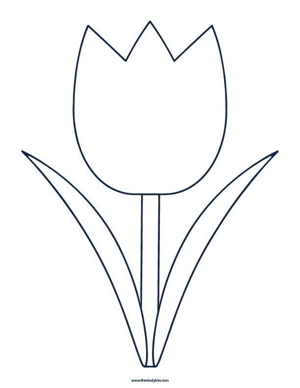 Easy tulip coloring pages