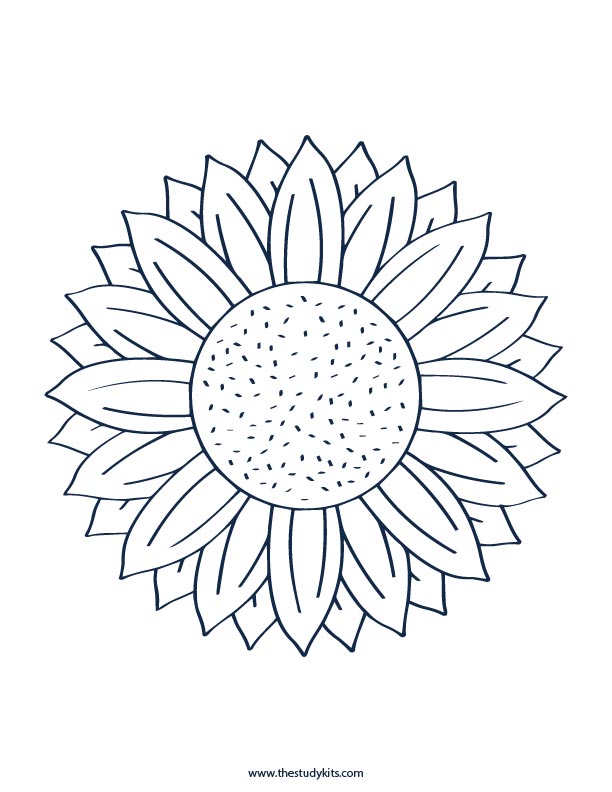 sunflower template free download