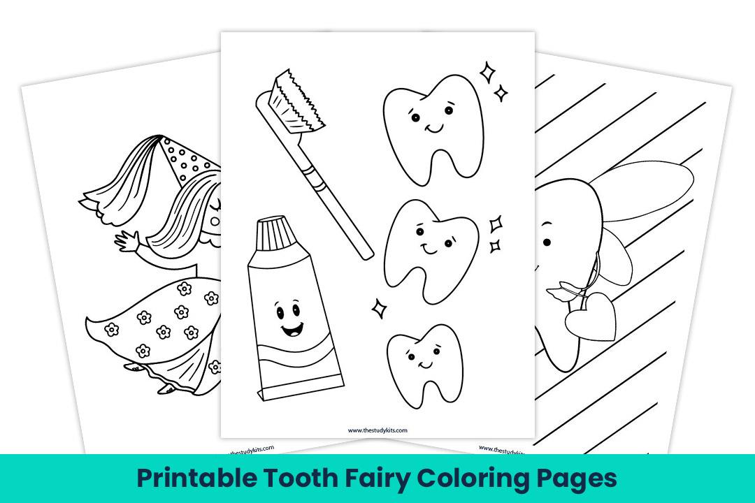 Printable Tooth Fairy Coloring Pages PDF - The Study Kits