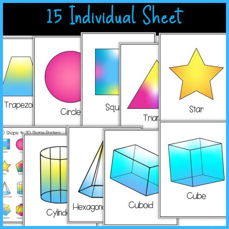 Learning 2D and 3D Shapes