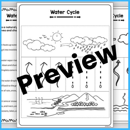 Weather Craft- Water Cycle Wind Sock Craftivity