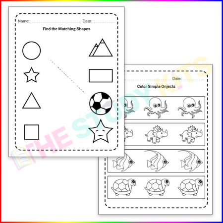 All about Shape Learning worksheet for kid