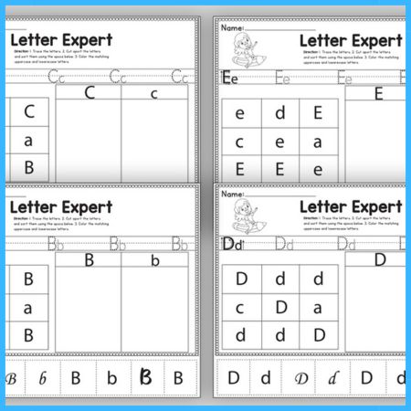 Alphabet Letter Handwriting and Recognition Activity