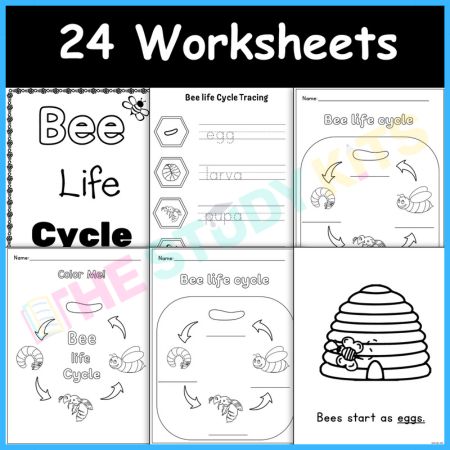 Bee Craft & Bee Activities worksheets