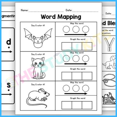 CVC Word Acitivities worksheet for Kids