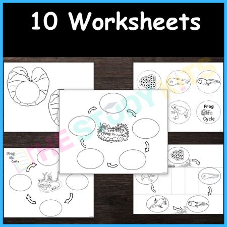 Frog Life Cycle Worksheets