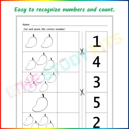 Number Matching Activities Worksheet for Kids