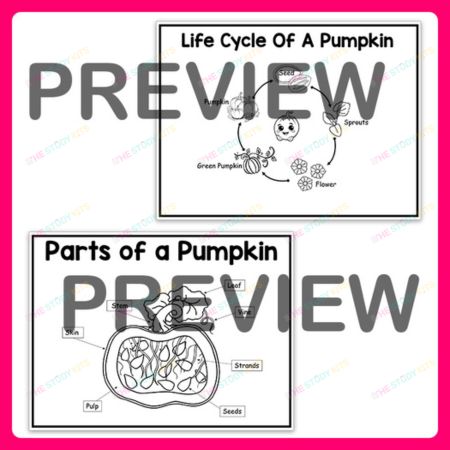 All About Pumpkins Worksheets