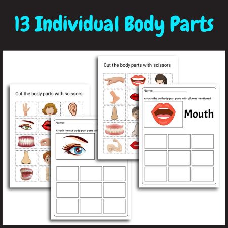 Body Parts Matching Game Worksheets