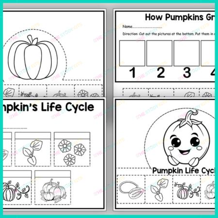 Pumpkin Life Cycle worksheet